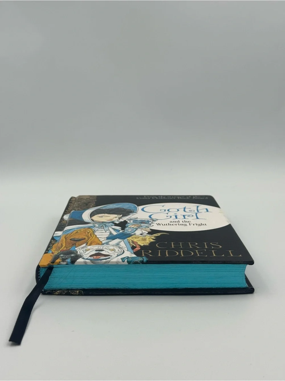 Goth Girl and‎ the Wuthering Fright Chris Riddell HC 2015 Mini Book Complete